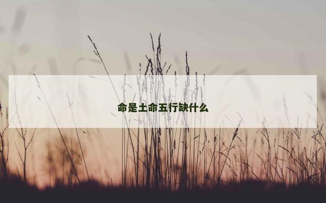 命是土命五行缺什么