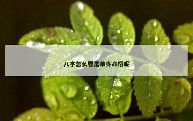 八字怎么看是单身命格呢