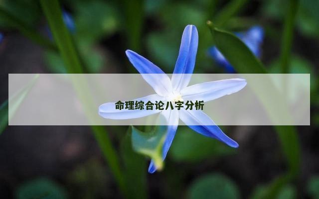 命理综合论八字分析