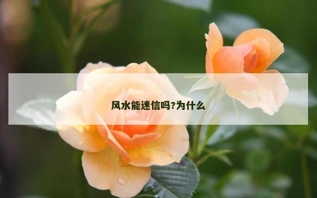 风水能迷信吗?为什么
