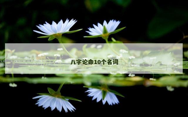 八字论命10个名词