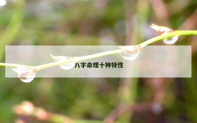 八字命理十神特性