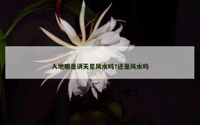 入地眼是讲天星风水吗?还是风水吗
