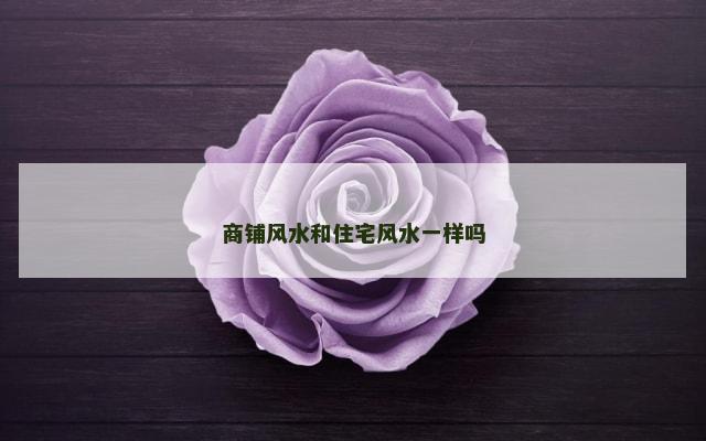 商铺风水和住宅风水一样吗