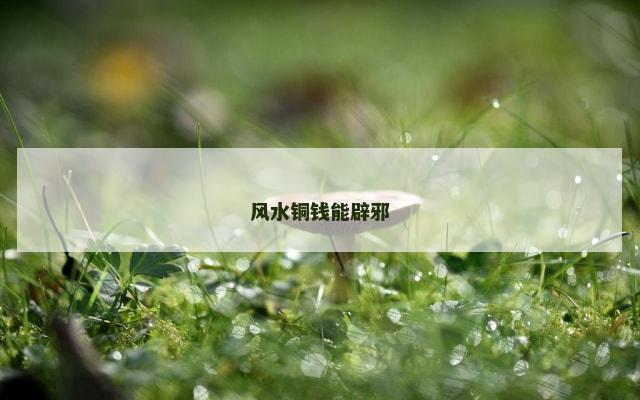 风水铜钱能辟邪