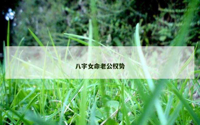 八字女命老公权势
