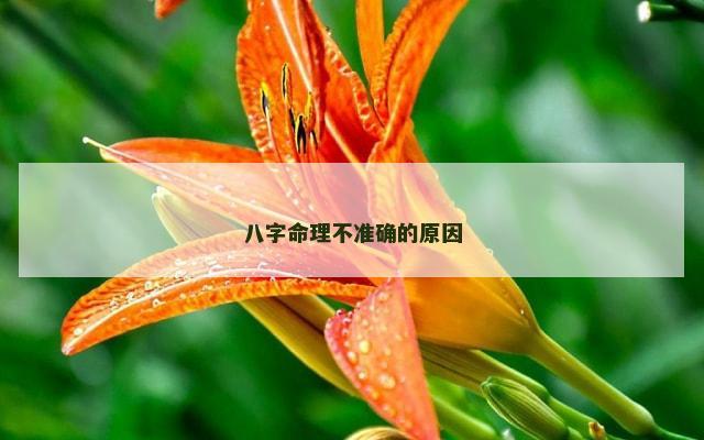 八字命理不准确的原因