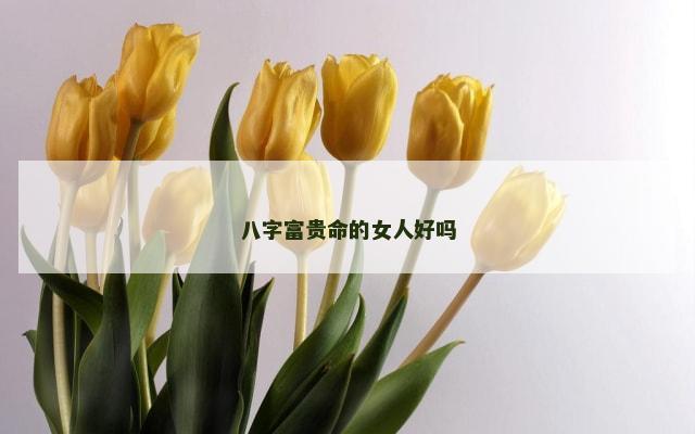 八字富贵命的女人好吗