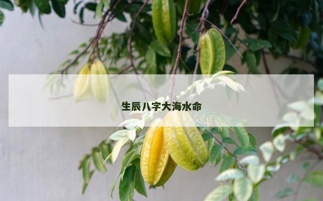 生辰八字大海水命