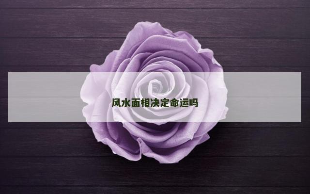 风水面相决定命运吗