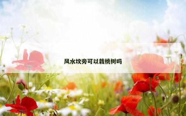 风水坟旁可以栽桃树吗