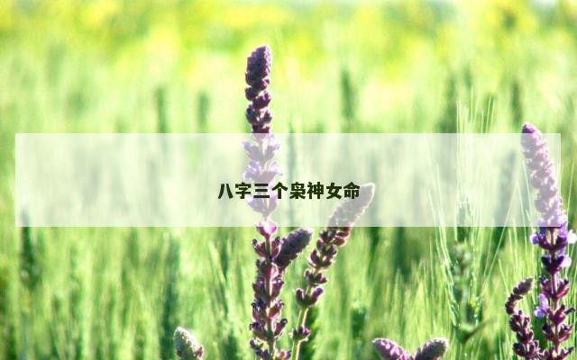 八字三个枭神女命