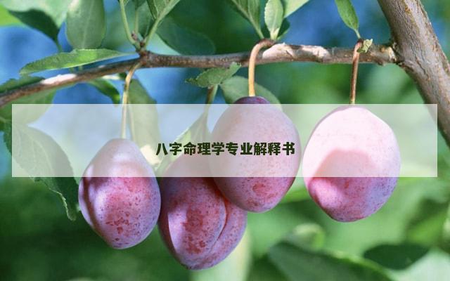 八字命理学专业解释书