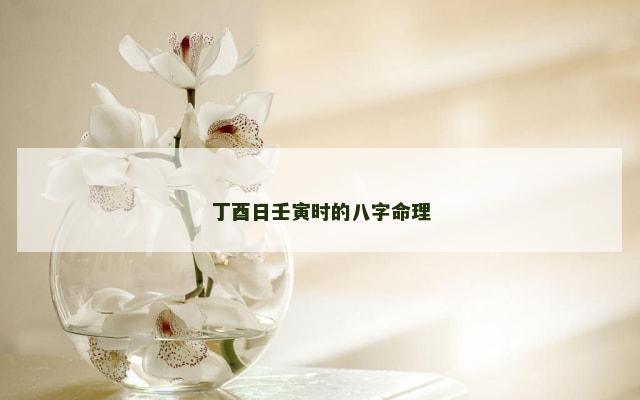 丁酉日壬寅时的八字命理