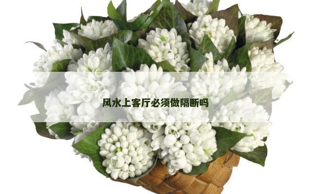 风水上客厅必须做隔断吗