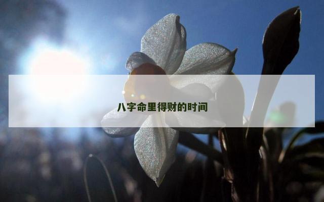 八字命里得财的时间