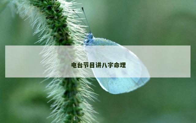 电台节目讲八字命理