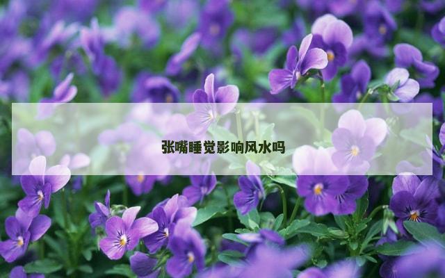 张嘴睡觉影响风水吗