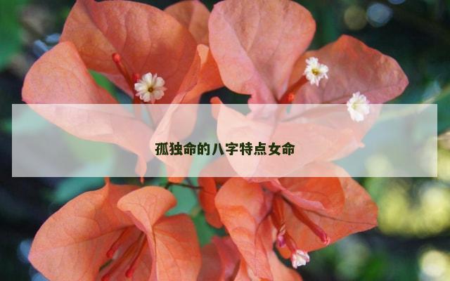 孤独命的八字特点女命