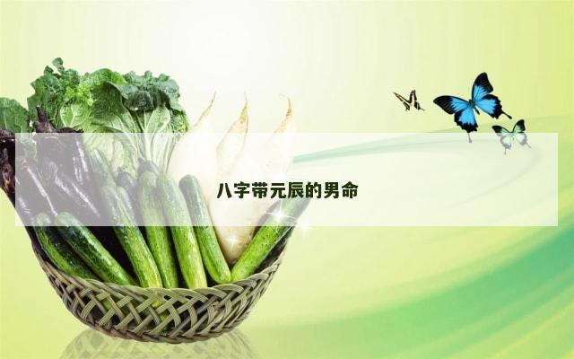 八字带元辰的男命