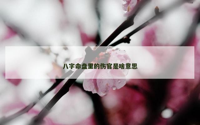 八字命盘里的伤官是啥意思