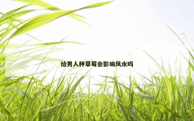 给男人种草莓会影响风水吗