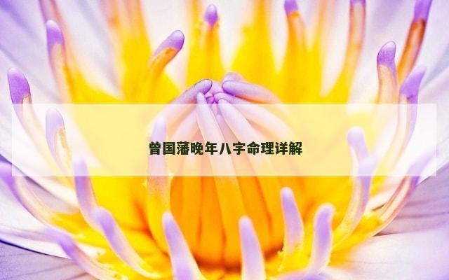 曾国藩晚年八字命理详解