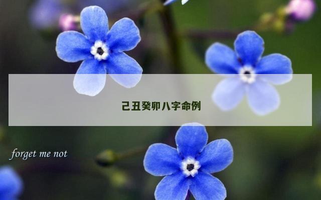 己丑癸卯八字命例