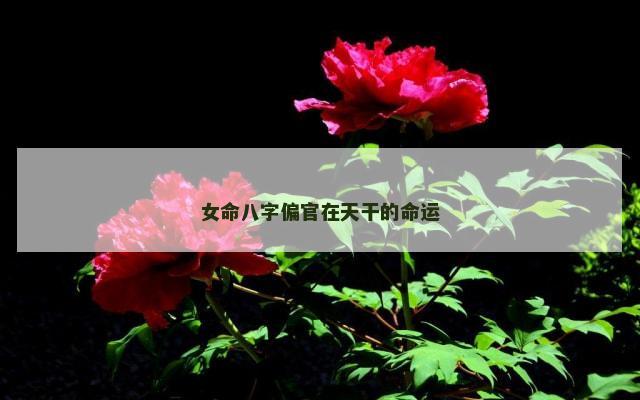 女命八字偏官在天干的命运