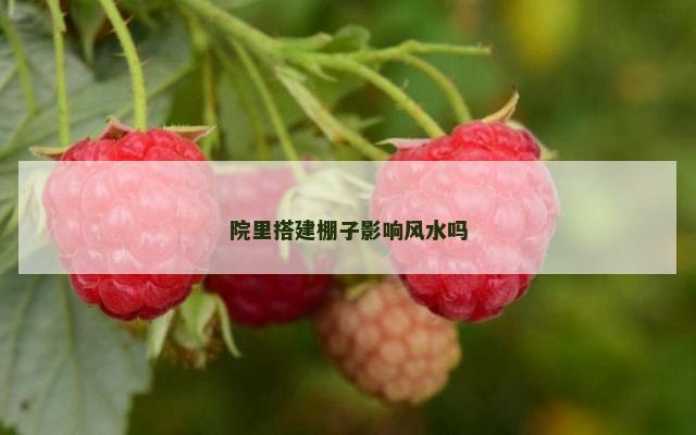 院里搭建棚子影响风水吗