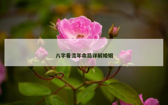八字看流年命局详解婚姻