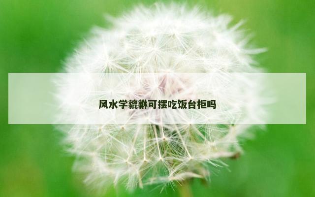风水学貔貅可摆吃饭台柜吗