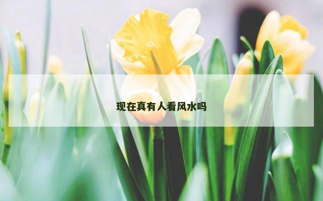 现在真有人看风水吗