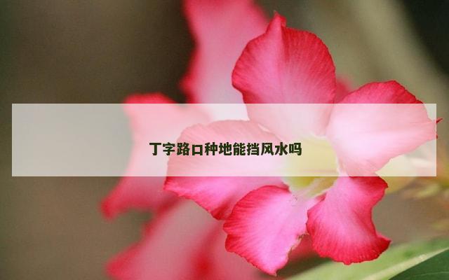 丁字路口种地能挡风水吗