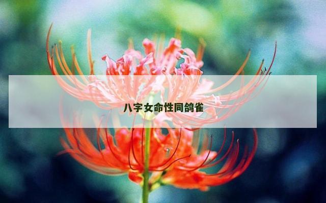 八字女命性同鸽雀