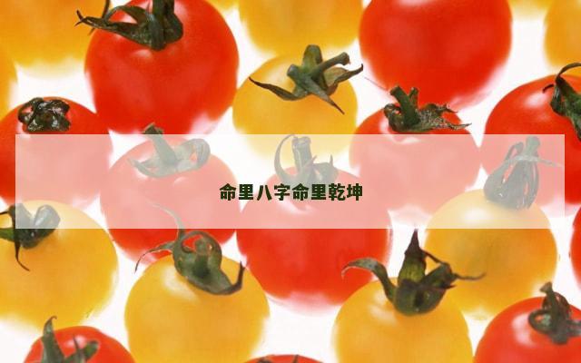 命里八字命里乾坤