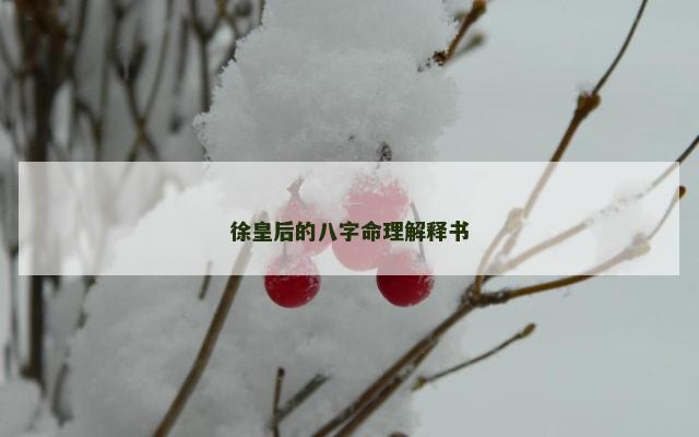 徐皇后的八字命理解释书