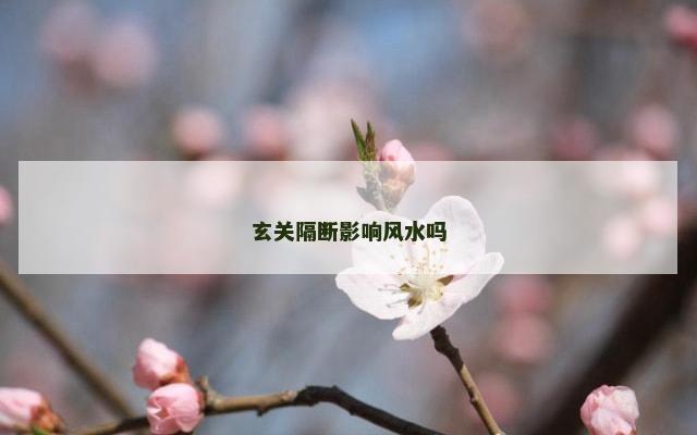 玄关隔断影响风水吗