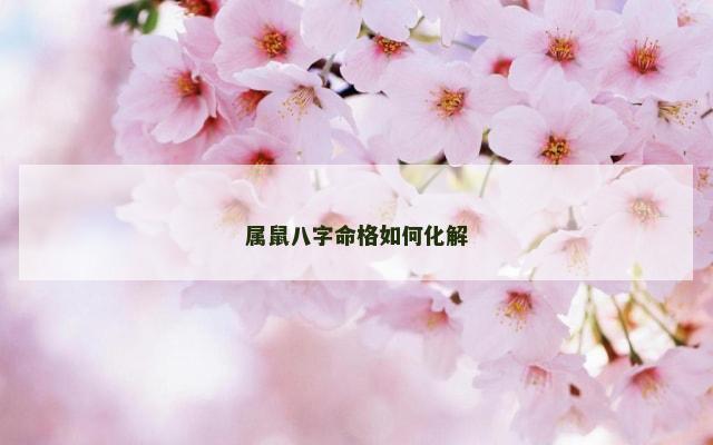 属鼠八字命格如何化解