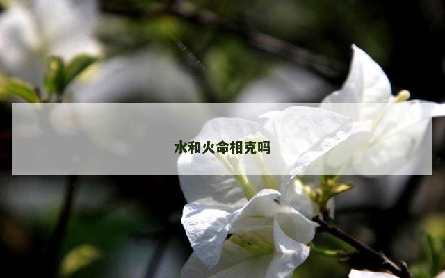 水和火命相克吗