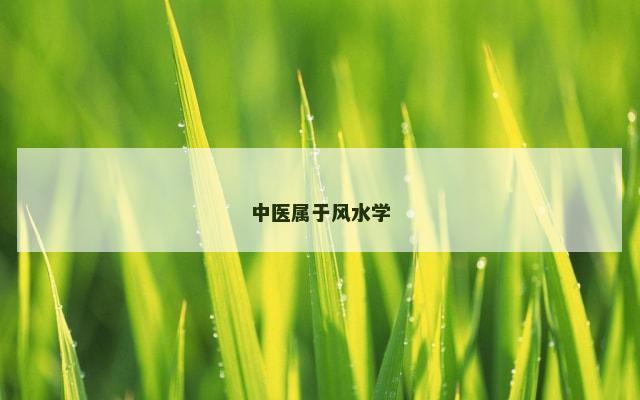 中医属于风水学