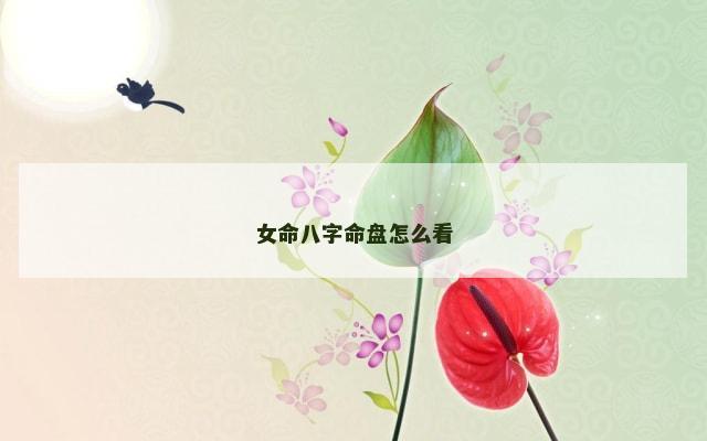 女命八字命盘怎么看