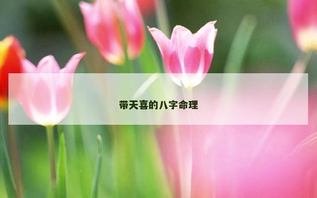 带天喜的八字命理