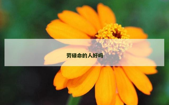 劳碌命的人好吗