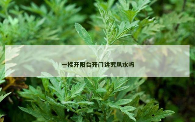 一楼开阳台开门讲究风水吗