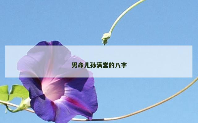 男命儿孙满堂的八字
