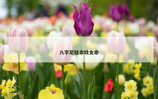 八字尼姑命妓女命