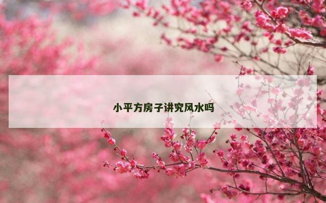 小平方房子讲究风水吗