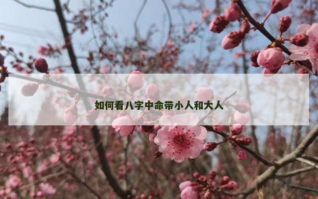 如何看八字中命带小人和大人