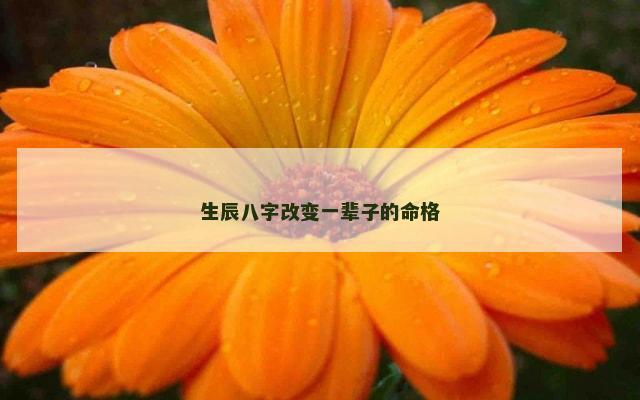 生辰八字改变一辈子的命格
